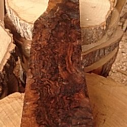 6.5cmx14cmx47cm Kök Ceviz-1