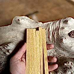 10mmx10mmx50cm Limon Ağacı