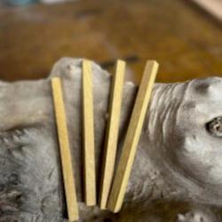 10mmx10mmx50cm Limon Ağacı